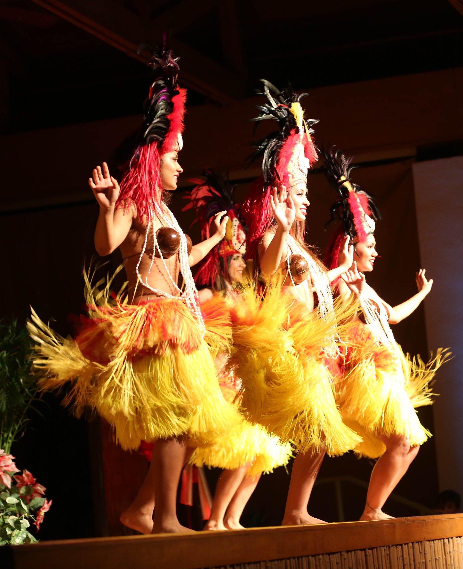 Polynesian Dance Performance